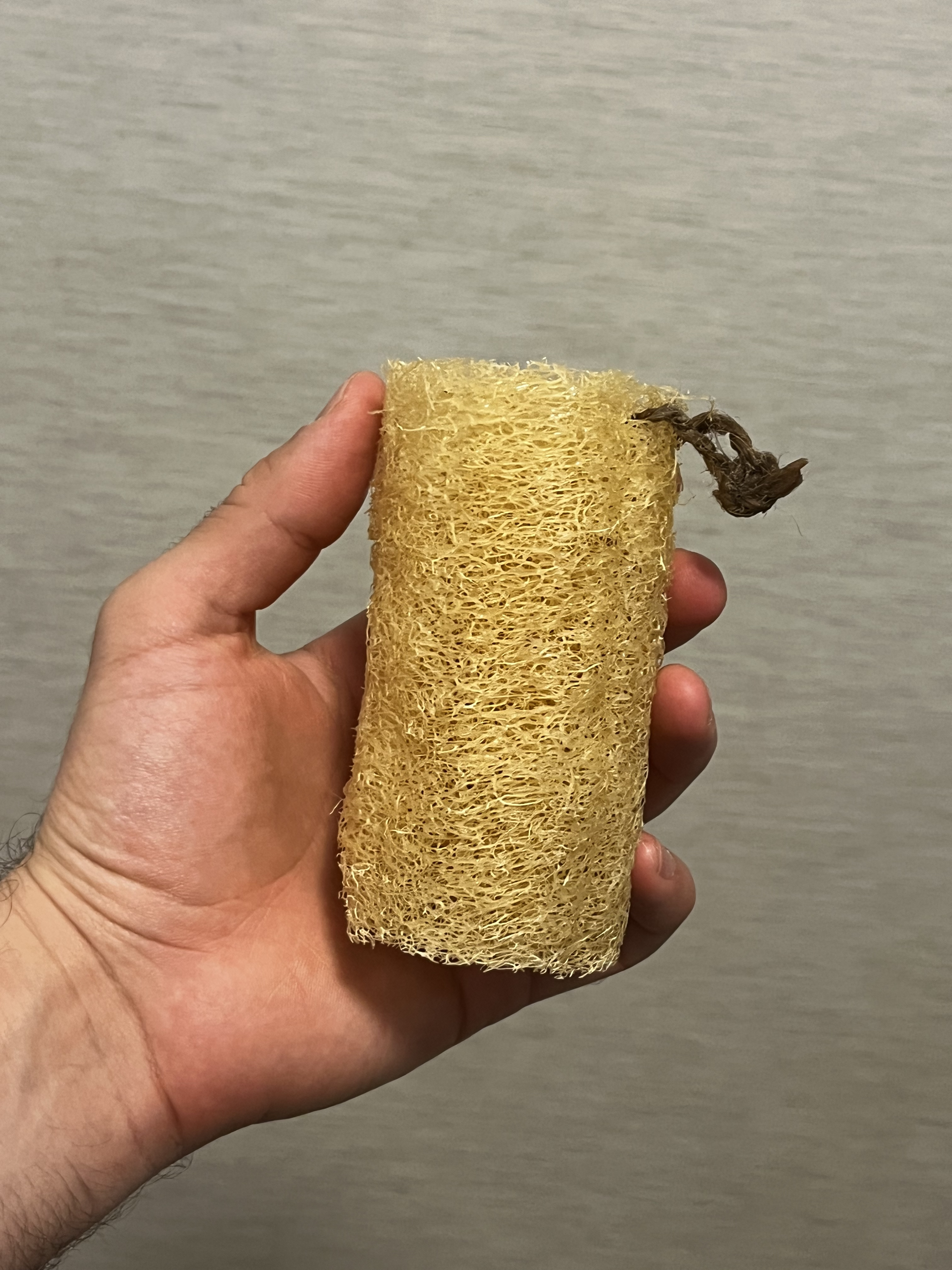 Indisk Lifa - oblekt lifa från ekologisk odling i Indien, med upphängning